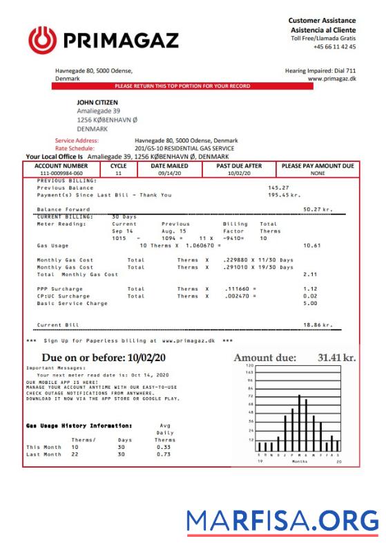 Realistic Denmark Primagaz Denmark gas utility bill template in Word and PDF format